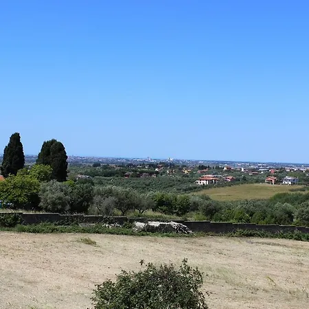 L'arancio